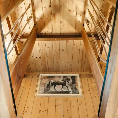 Benehati Kunyhok * 머트러푸레드